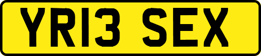 YR13SEX