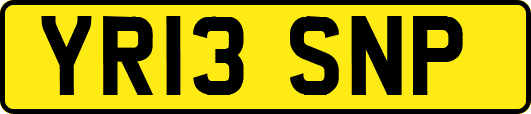 YR13SNP