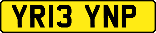 YR13YNP