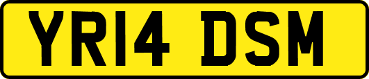 YR14DSM