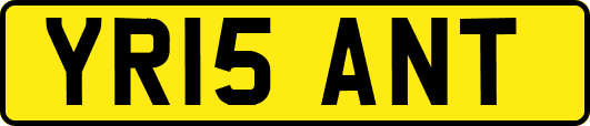 YR15ANT