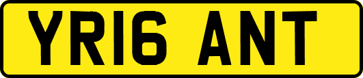YR16ANT