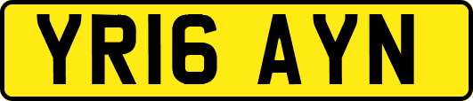 YR16AYN