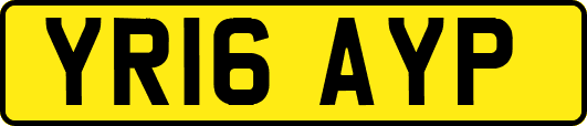 YR16AYP