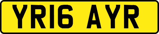 YR16AYR