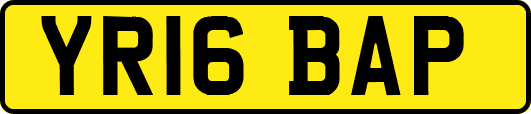 YR16BAP