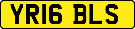 YR16BLS