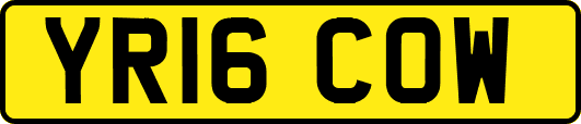 YR16COW