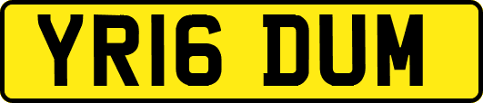YR16DUM