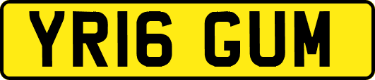YR16GUM