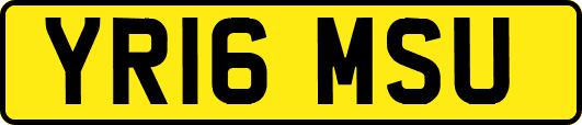 YR16MSU