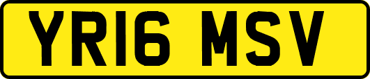 YR16MSV