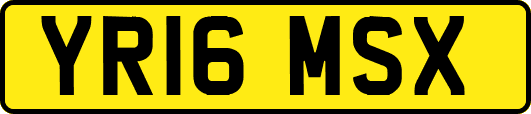 YR16MSX