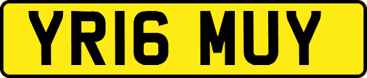 YR16MUY