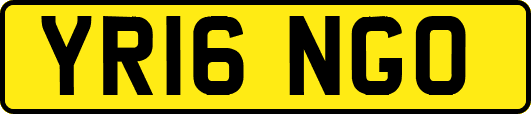 YR16NGO