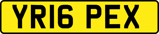 YR16PEX