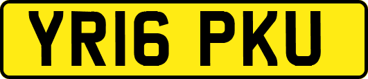 YR16PKU
