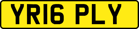 YR16PLY