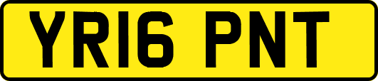 YR16PNT