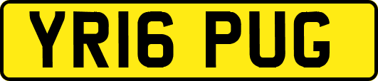YR16PUG