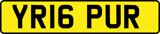YR16PUR