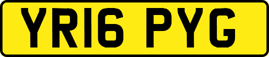 YR16PYG