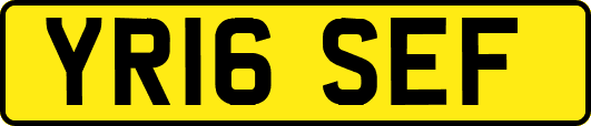 YR16SEF