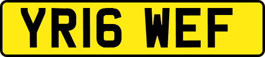 YR16WEF