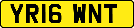 YR16WNT