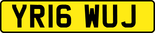 YR16WUJ