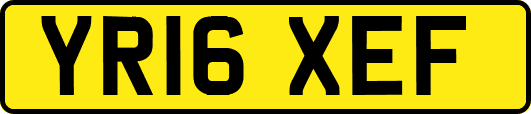 YR16XEF