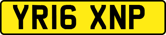YR16XNP