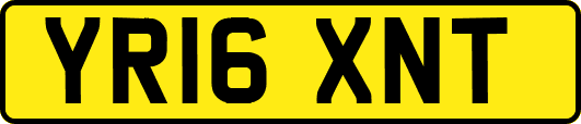YR16XNT