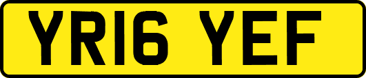YR16YEF