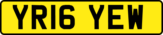 YR16YEW