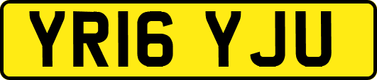 YR16YJU