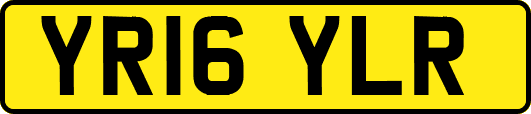 YR16YLR