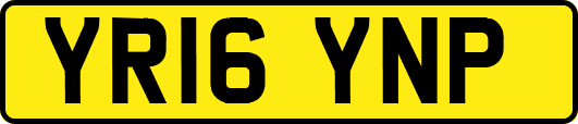 YR16YNP