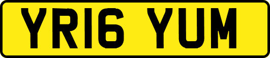 YR16YUM