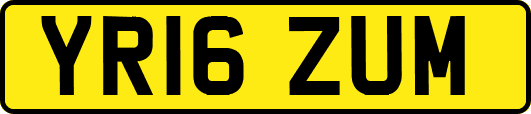 YR16ZUM