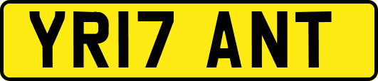 YR17ANT