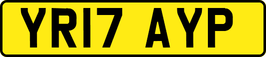 YR17AYP