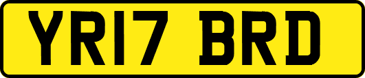 YR17BRD