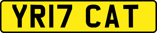 YR17CAT