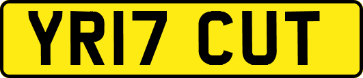 YR17CUT