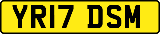 YR17DSM