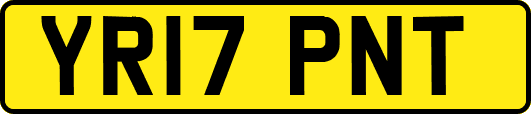 YR17PNT