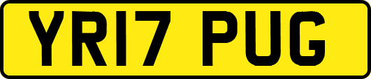 YR17PUG