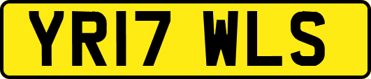 YR17WLS
