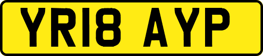 YR18AYP